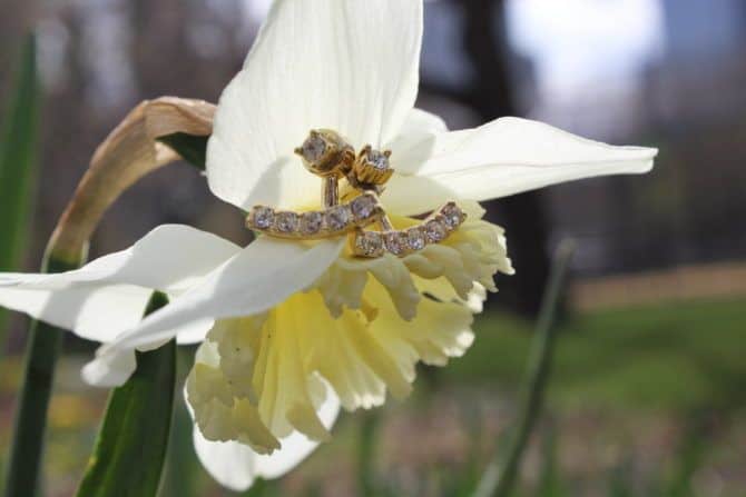 Daffodils Earrings
